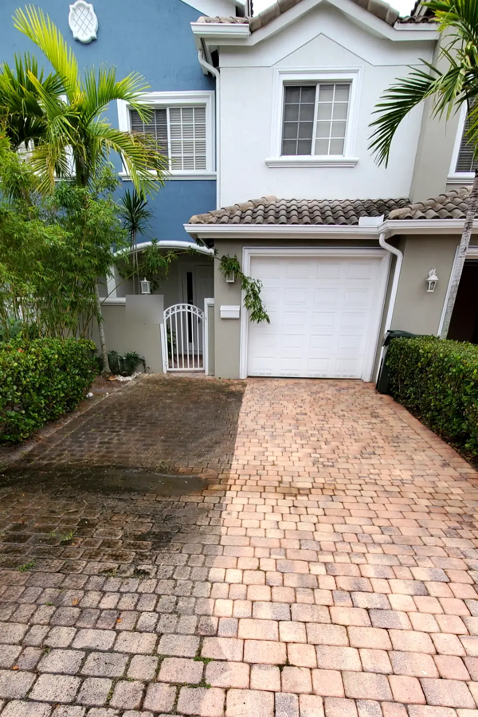 Brick paver driveway in front of a townhouse, half cleaned: dark and mossy on the left, bright on the right